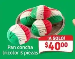 Soriana Mercado Pan concha tricolor oferta