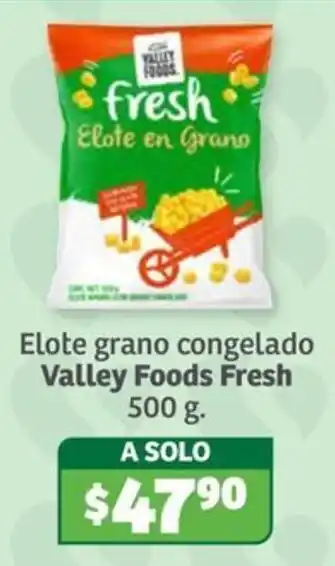 Valley Foods Fresh Elote en Grano
