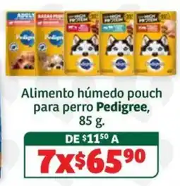 Soriana Súper Pedigree Alimento húmedo pouch para perro oferta