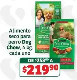 Soriana Súper Dog Chow oferta