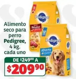 Soriana Súper Pedigree Alimento seco para perro oferta