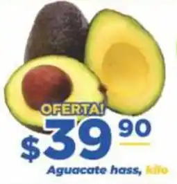 Super Gutiérrez Aguacate hass oferta