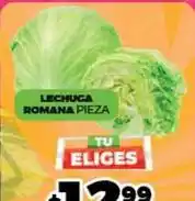 Merco Lechuga romana oferta