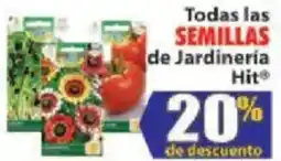 Casa Ley Hit SEMILLAS de Jardineria oferta