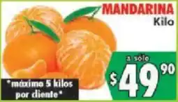 Casa Ley mandarina oferta
