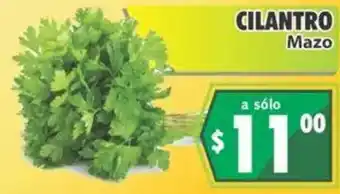 Casa Ley Cilantro Mazo oferta