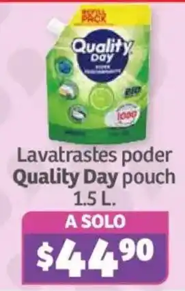 Quality Day lavatrastes poder