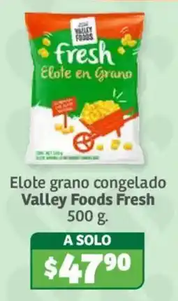Soriana Híper Valley Foods Fresh Elote en Grano oferta