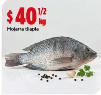 Bodega Aurrerá Mojarra tilapia oferta
