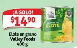 Soriana Híper Valley Foods Elote en grano oferta