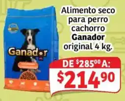 Soriana Híper Ganador alimento seco para perro cachorro original oferta