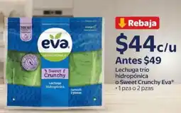 Walmart Express Eva Lechuga trio hidropónica o Sweet Crunchy Eva oferta