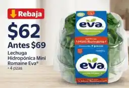 Walmart Express Eva Lechuga Hidropónica Mini Romaine oferta