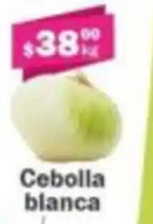 Super kompras Cebolla blanca oferta