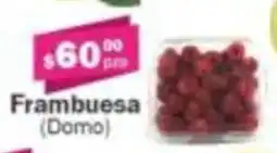 Super kompras Frambuesa (Domo) oferta