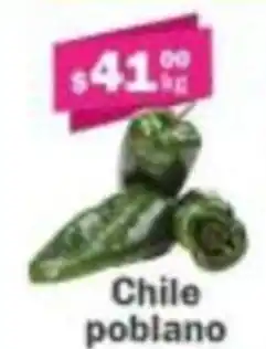 Super kompras Chile poblano oferta