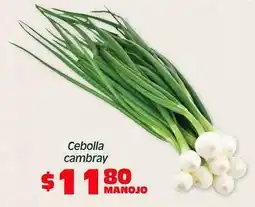 Soriana Híper Cebolla cambray oferta