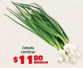 Soriana Híper Cebolla cambray oferta