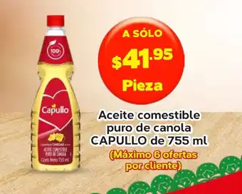 Capullo Aceite comestible puro de canola