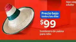 Walmart Sombrero de palma para niño oferta