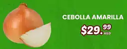 Guajardo cebolla amarilla oferta