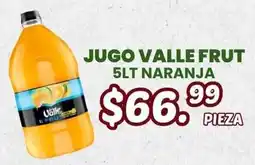 Guajardo Jugo Valle Frut oferta