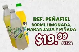 Guajardo Peñafiel limonada naranjada y piñada oferta