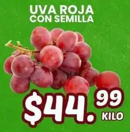 Guajardo uva roja con semilla oferta