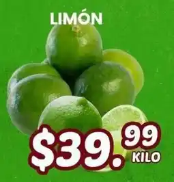 Guajardo Limón oferta
