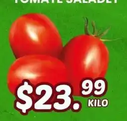 Guajardo tomate saladet oferta
