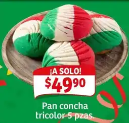 Soriana Mercado Pan concha tricolor oferta