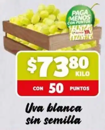 Uva blanca sin semilla