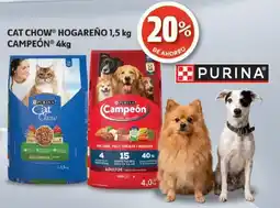 Farmacias Guadalajara purina cat chow hogareño campeón oferta