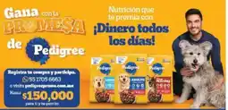 Farmacias Guadalajara Pedigree oferta