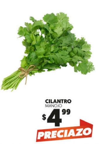 Merco Cilantro Manojo oferta