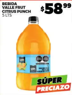 Merco Valle Fruit Citrus Punch oferta