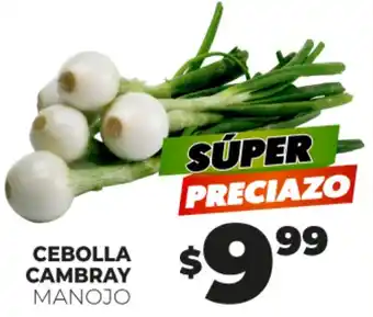Cebolla Cambray Manojo