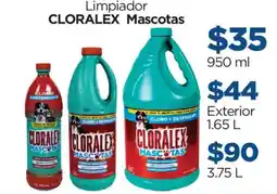Chedraui Cloralex Mascotas oferta