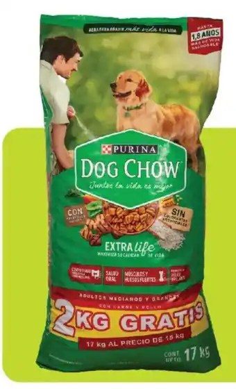 Purina Dog Chow