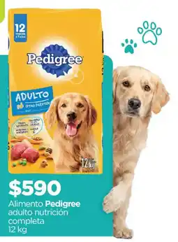 Chedraui Pedigree adulto nutrición completa oferta
