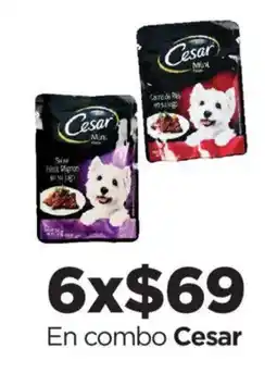 Chedraui Cesar Mini oferta