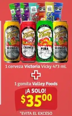 Soriana Mercado Victoria Vicky oferta