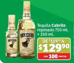 Soriana Mercado Tequila Cabrito reposado oferta