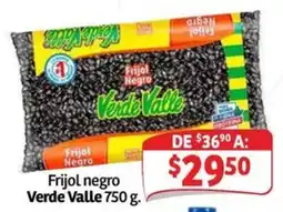 Soriana Mercado Verde Valle Frijol negro oferta