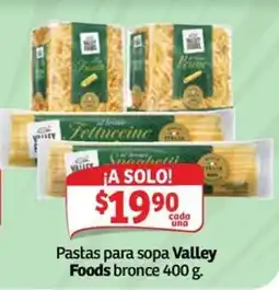 Soriana Mercado Valley Foods pastas para sopa oferta