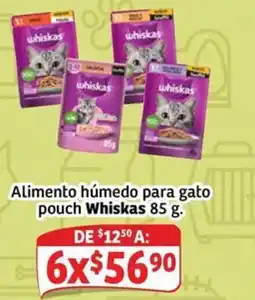Soriana Mercado Whiskas alimento húmedo para gato pouch oferta