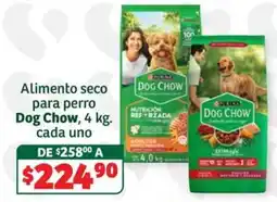 Soriana Súper Dog Chow oferta