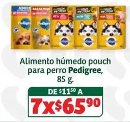 Soriana Súper Pedigree Alimento húmedo pouch para perro oferta