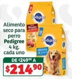 Soriana Súper Pedigree Alimento seco para perro oferta