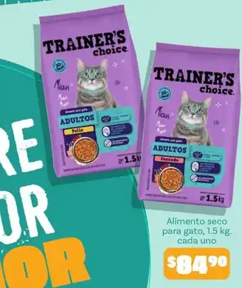 Trainer's choice Adultos